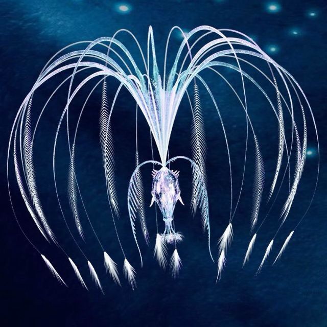 Kantelpunt 4 & 5 april: we flikken het!!!