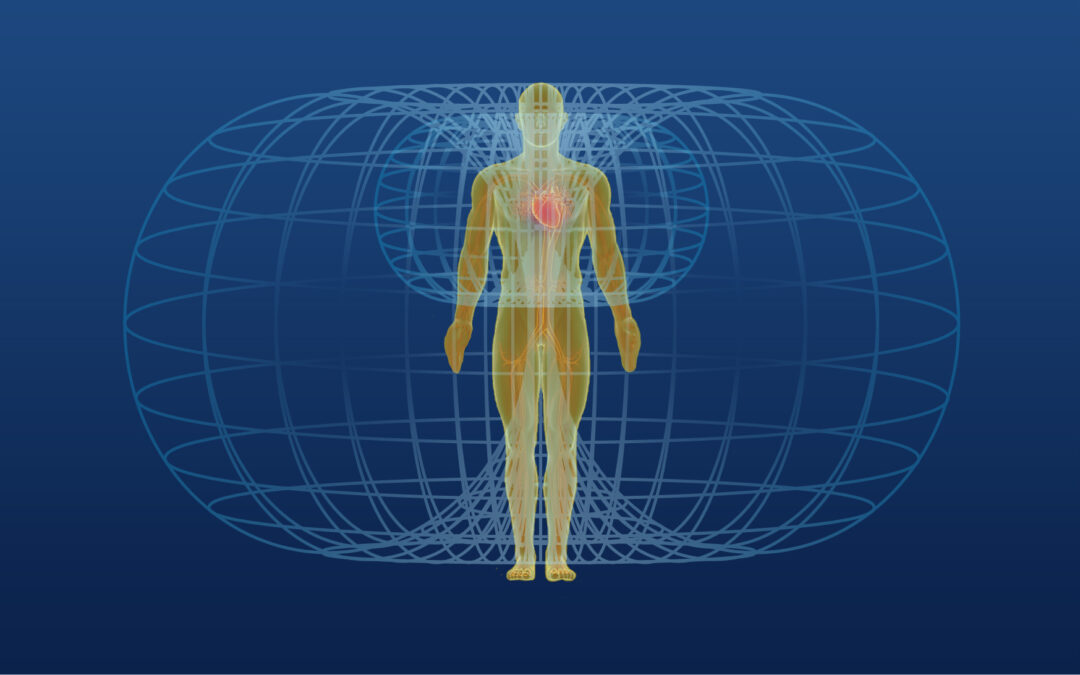 3-daagse Educatie: de Kracht van Innerlijk Leiderschap – Zeist 8/15/22 aug