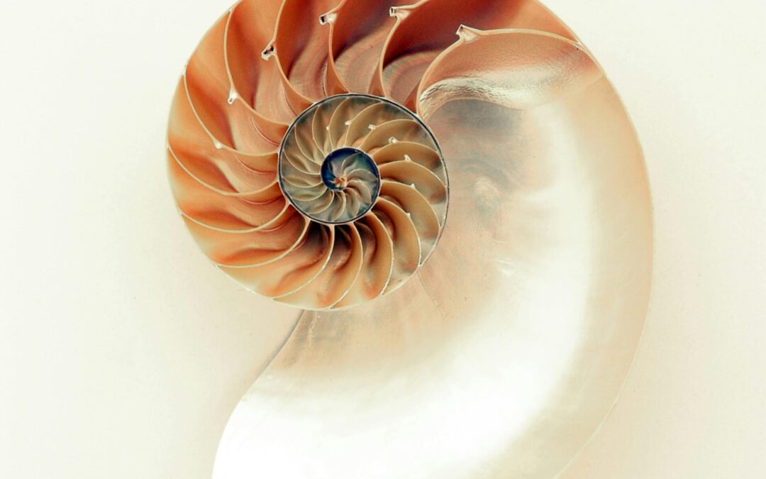 Stilteretraite 23 – 26 juni – Liefde is Goud – Vieuxville, Luik, België