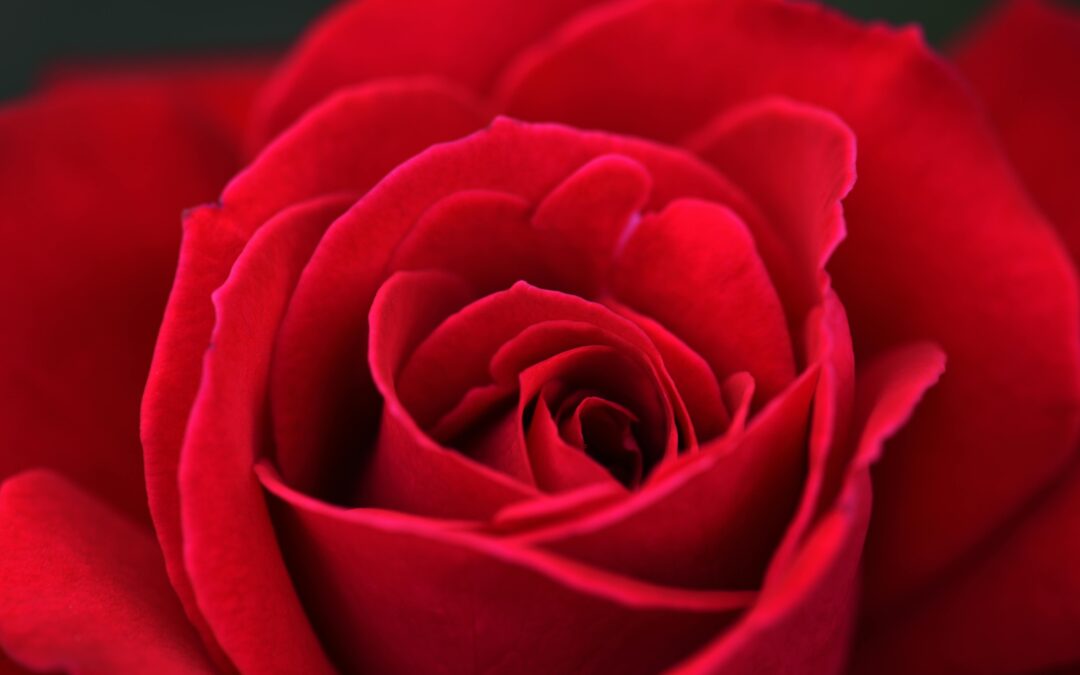 Scriptschrijvers: Durf te Leven 1 ‘Openen in Liefde’ – 9 10 11 december 2025