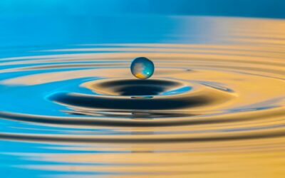 LevensEcht – dinsdag 12 mei – Oude Wetering zh